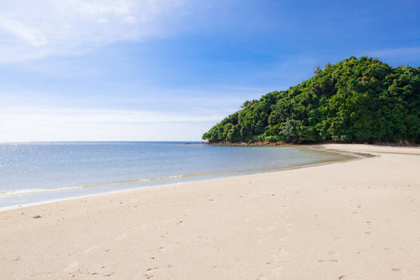 istock Sunny day at beautiful beach in Borneo 1208399072