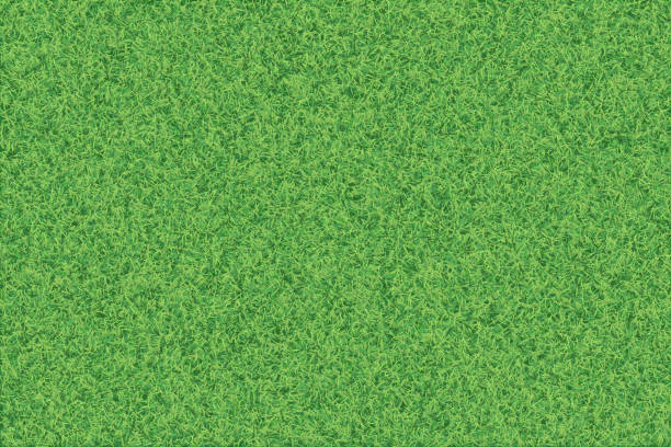 зеленая трава реалистичный текстурированный фон. - playing field illustrations stock illustrations