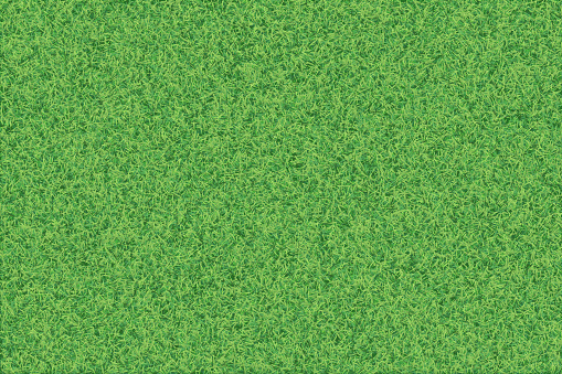 Vector realistic top view illustration of grass texture background in bright yellow green color tone.