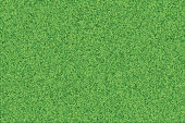 istock Green grass realistic textured background. 1208399112