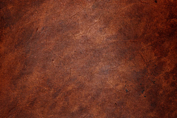 plan rapproché bronzé de cuir bronzé brun foncé, affichant la texture pleine de grain de cadre - selle photos et images de collection