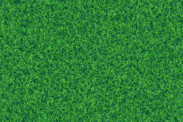 녹색 잔디 현실적인 질감 배경입니다. - turf stock illustrations
