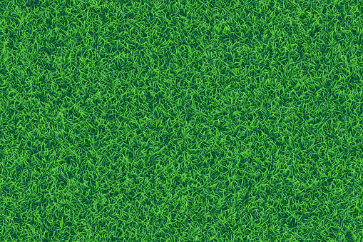 Green grass realistic textured background.