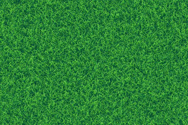 Vector illustration of Green grass realistic textured background.