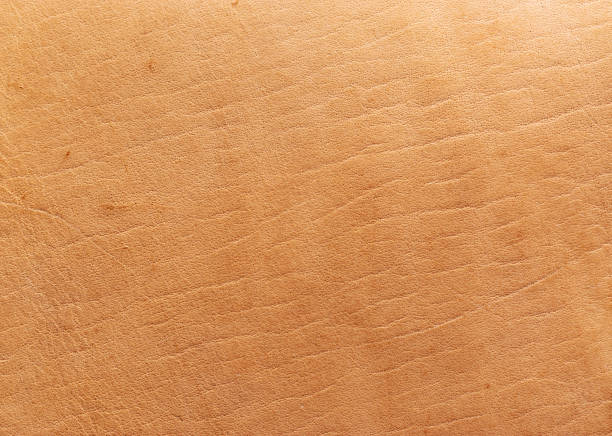 istock Natural vegetable tanned leather closeup macro full frame texture showing top grain and scratch wear marks 1208399828