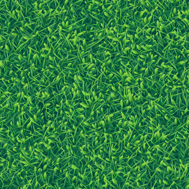 zielona trawa realistyczne teksturowane tło, widok z góry - backgrounds color image directly above full frame stock illustrations