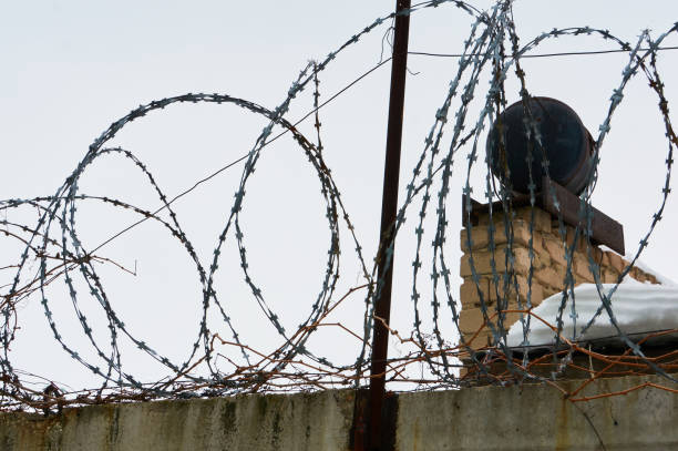 istock An old fence with barbed wire on top. 1208401055