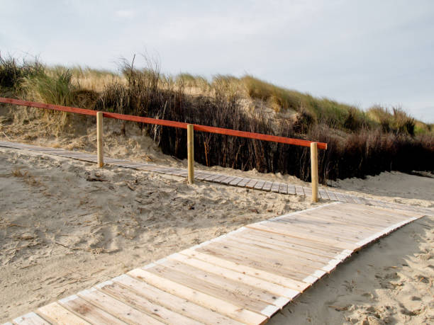 istock langeoog beach in the german north sea 1208402022