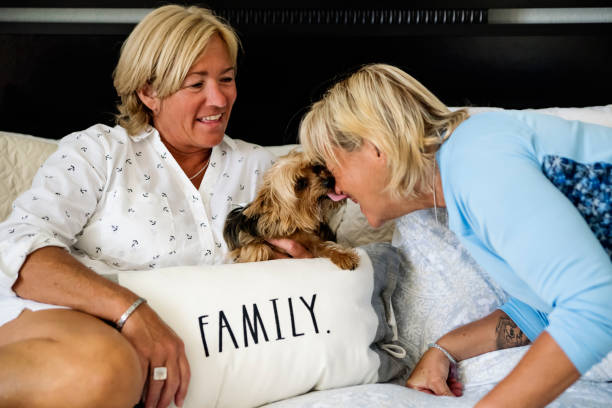 Couple of mature LGBTQ women posing in bed with dog. Couple of mature LGBTQ women relaxing and posing in bed with their dog. Two cute healthy and tanned blonde women in their fifties living the good life. Horizontal indoors waist up shot with copy space. small florida home stock pictures, royalty-free photos & images