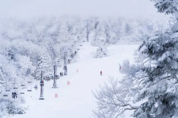 Yamagata; Japan - 28 Dec 2019: People are traveling onto Utopia Skii slope in Zao Mountain.