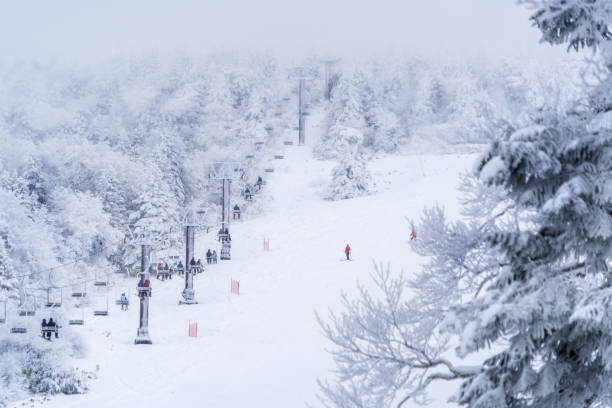people are traveling onto utopia skii slope in zao mountain. - prefeitura de yamagata imagens e fotografias de stock