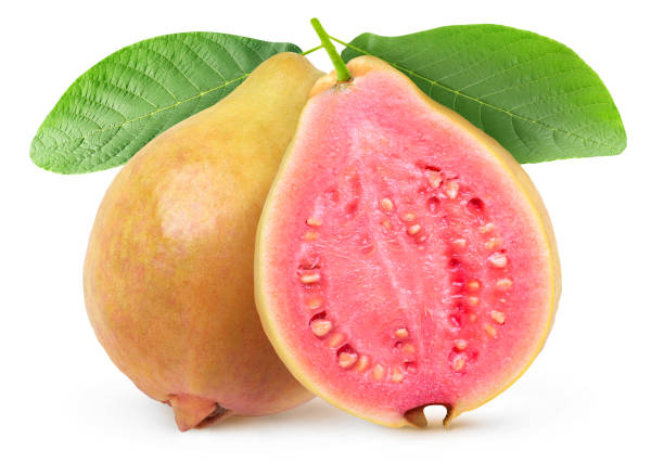 istock Isolated yellow cut guava on a branch 1208405197