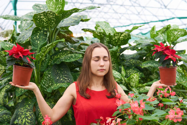 young woman with closed eyes in a red dress in a greenhouse among lush tropical plants holds a poinsettia flowers in both hands "n"n young woman in a red dress in a greenhouse among lush tropical plants stands with her eyes closed and holds in both hands a poinsettia flowers deep pick stock pictures, royalty-free photos & images