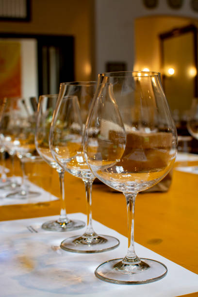 istock Professional wine tasting, sommelier course, clean empty wine glasses for different wines 1208406168