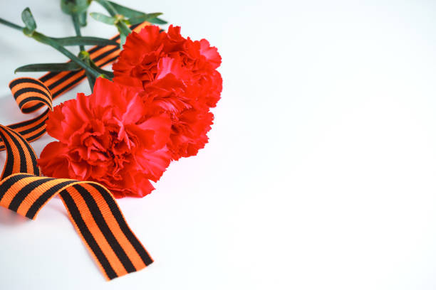 Three red carnations and St. George ribbon (Russian symbol) on a white uniform background. Greeting card for the holiday of the great victory of May 9.