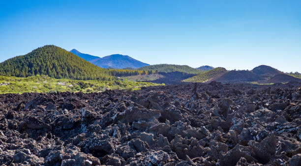 istock Mountain landscape in Tenerife, Spain, in summer 1208411412