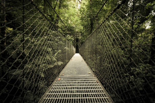 istock hanging bridge, costa rica 1208411533