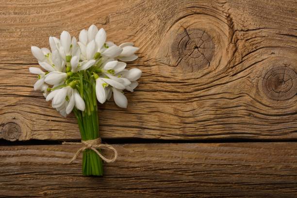 istock Snowdrop flowers on wooden background 1208413071