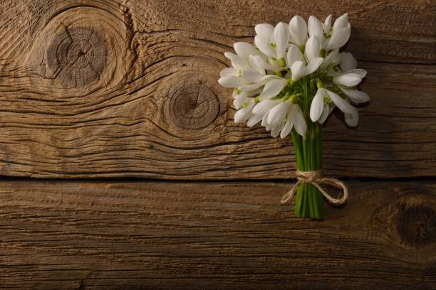 istock Snowdrop flowers on wooden background 1208413079