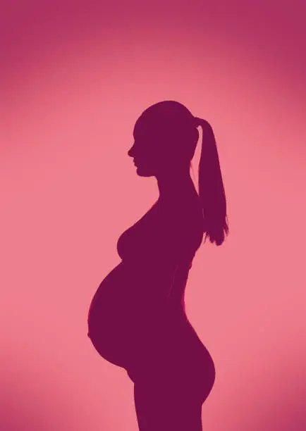 Photo of Silhouette of young pregnant woman profile