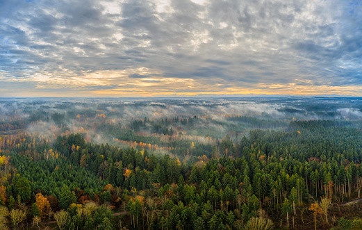 Foggy morning as an aerial above a autumn colored forest.