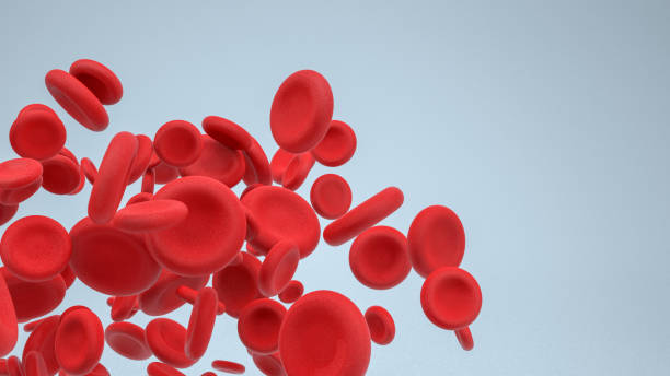 Blood Cell 3D rendering, Flying Large group of blood cell. Gray Background. Red Blood Cell stock pictures, royalty-free photos & images
