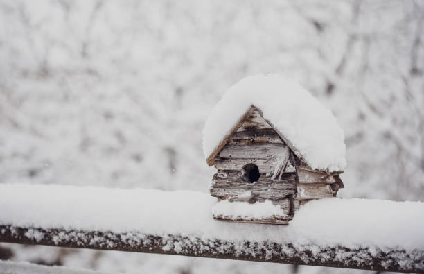 istock Weathered wood birdhouse on a railing covered in fresh snow. 1208417146
