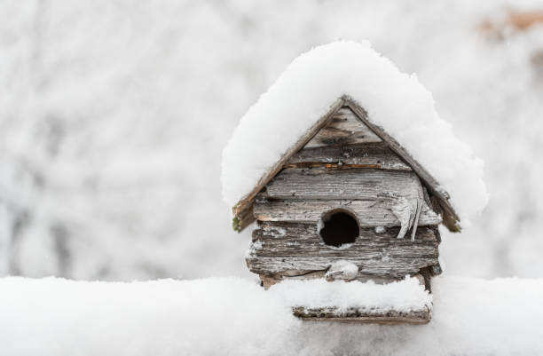 istock Weathered wood birdhouse on a railing covered in fresh snow. 1208417153