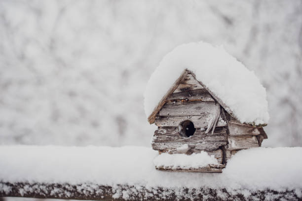 istock Weathered wood birdhouse on a railing covered in fresh snow. 1208417158