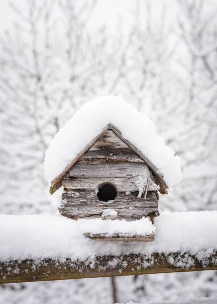 istock Weathered wood birdhouse on a railing covered in fresh snow. 1208417159