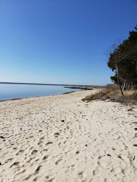 istock New Jersey Coast in southern ocean county 1208417382