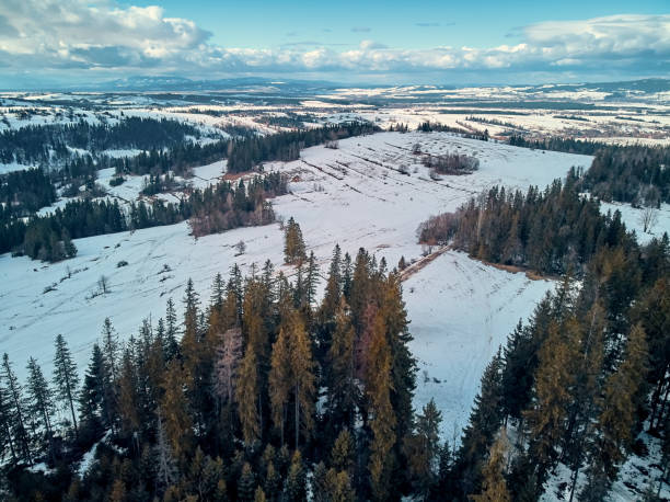 istock Beautiful panoramic aerial drone view to the Tatra Mountains (Tatras, Tatra) - mountain range between Slovakia and Poland - They are the highest mountain range in the Carpathian Mountains 1208418238
