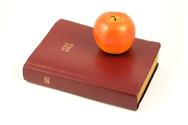 Photo of The Holy Bible