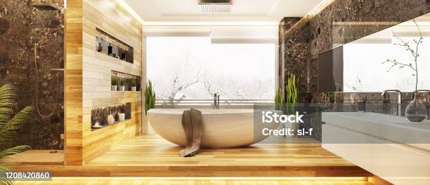 Beautiful Modern Bathroom Designs Stock Photo - Download Image Now - Bathroom, Spa, Hotel