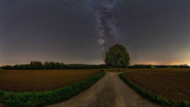 Photo of The milkyway over a lonely tree with much copy space.