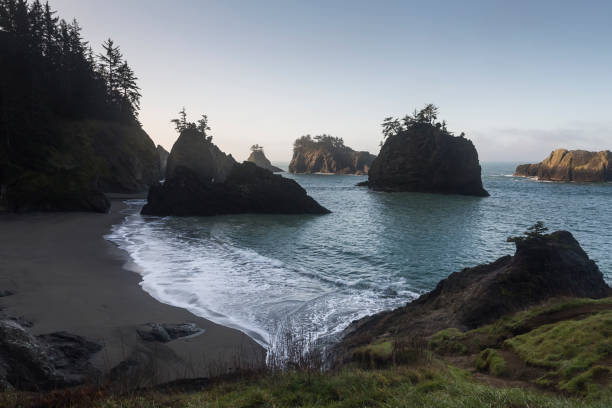 istock Silhouetted rock formations on early morning ocean beach 1208422455