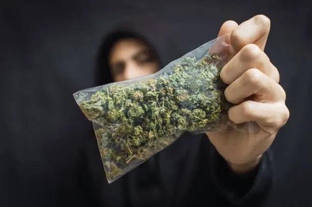 Hooded man holding a big bag of weed front his head on black background. Drug trafficking concept, buy or sell marijuana.
