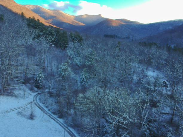 drone aéreo neve vista de inverno das montanhas blue ridge em asheville, carolina do norte. neve nas montanhas apalaches. - blue ridge mountains appalachian mountains appalachian trail forest - fotografias e filmes do acervo