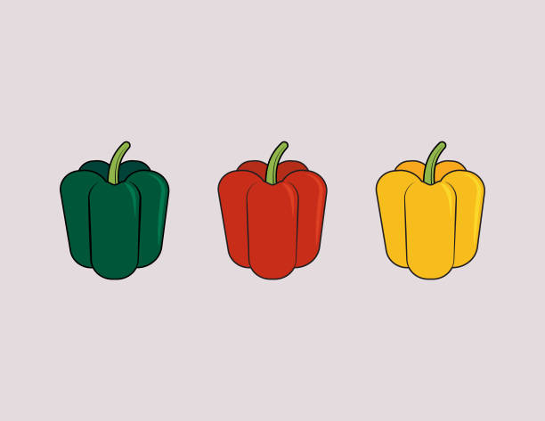 ilustrações, clipart, desenhos animados e ícones de pimentões - green bell pepper bell pepper red bell pepper groceries