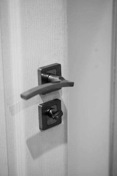 istock Wooden door 1208430518