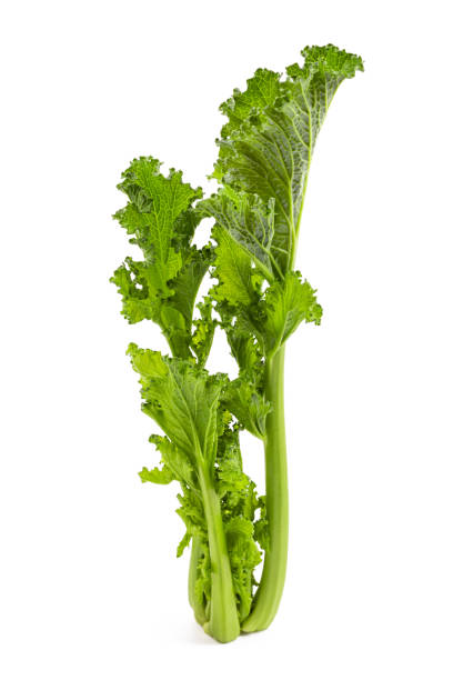 Turnip tops Fresh turnip tops isolated on white background brassica rapa stock pictures, royalty-free photos & images