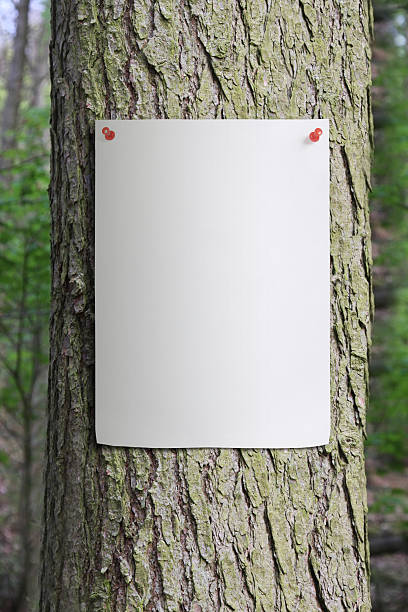 istock Tree Trunk with Paper Sign Pinned to it. 120843414