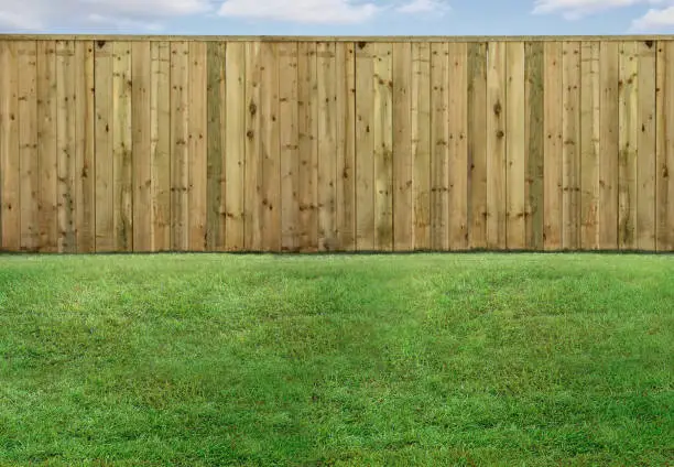 Photo of Empty backyard with green grass and wood fence