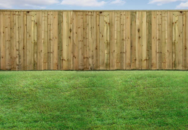 empty backyard with green grass and wood fence - garden fence imagens e fotografias de stock