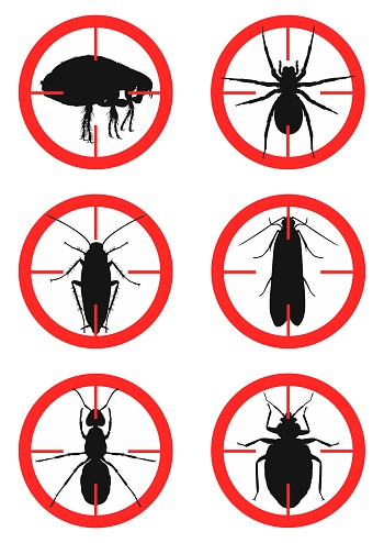 Pest Warning Sticker Set Of Warning Signs With Insects Pests Vector Illustration Stock ...