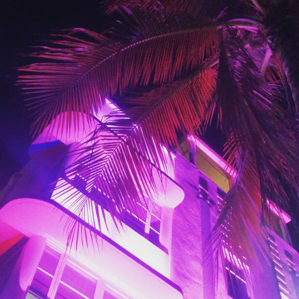 rosa neon und art-deco-gebäude mit einer palme in south beach miami usa - south beach miami florida night florida stock-fotos und bilder