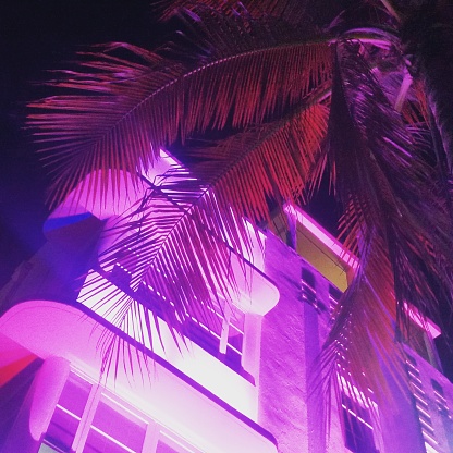 this photograph is of an art deco building detail illuminated in pink neon light with a palm tree in South Beach Miami Florida USA travel destination at night.