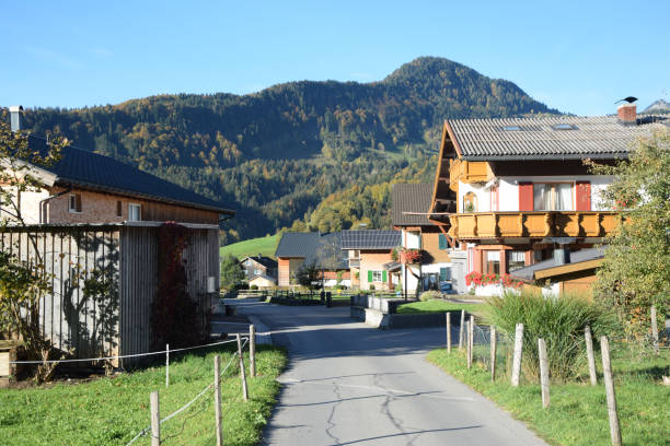 istock Bizau in Austria 1208439663