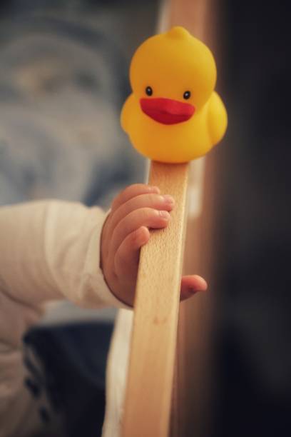 istock baby sleeping with a duckling in crib 1208441189