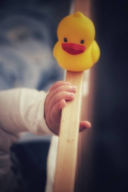 istock Duckling and baby hand on the crib 1208441202
